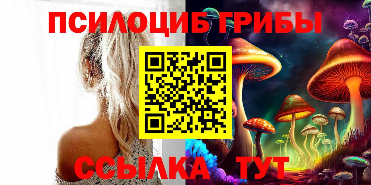 Галлюциногенные грибы Psilocybine cubensis Новочебоксарск