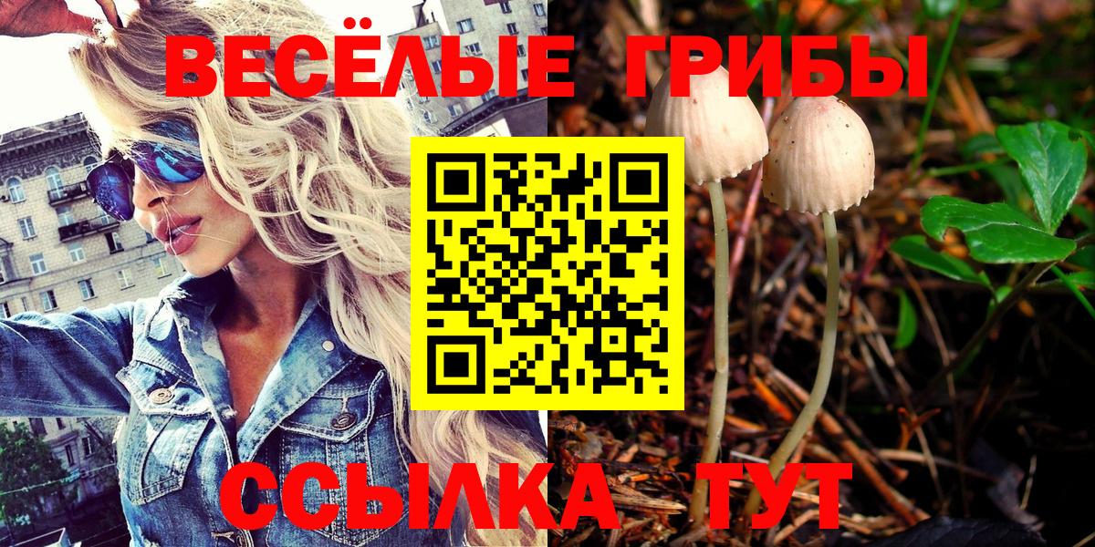 Галлюциногенные грибы прущие грибы  Вход с VPN  Псилоцибиновые грибы Magic Shrooms  Новочебоксарск 