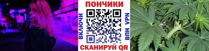 Бошки Шишки ГИДРОПОН где купить наркоту Новочебоксарск